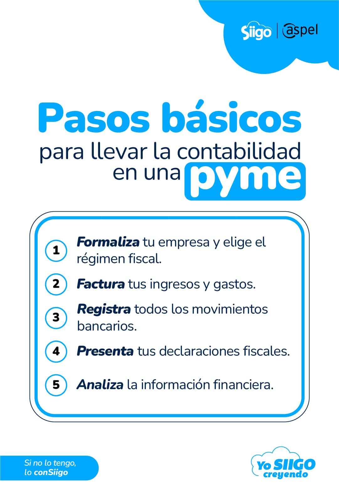 pasos para llevar la contabilidad en una pyme