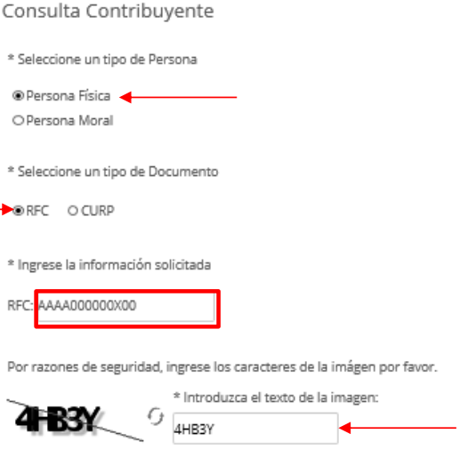 Captura del proceso de verificación del RFC con la información solicitada para Personas físicas